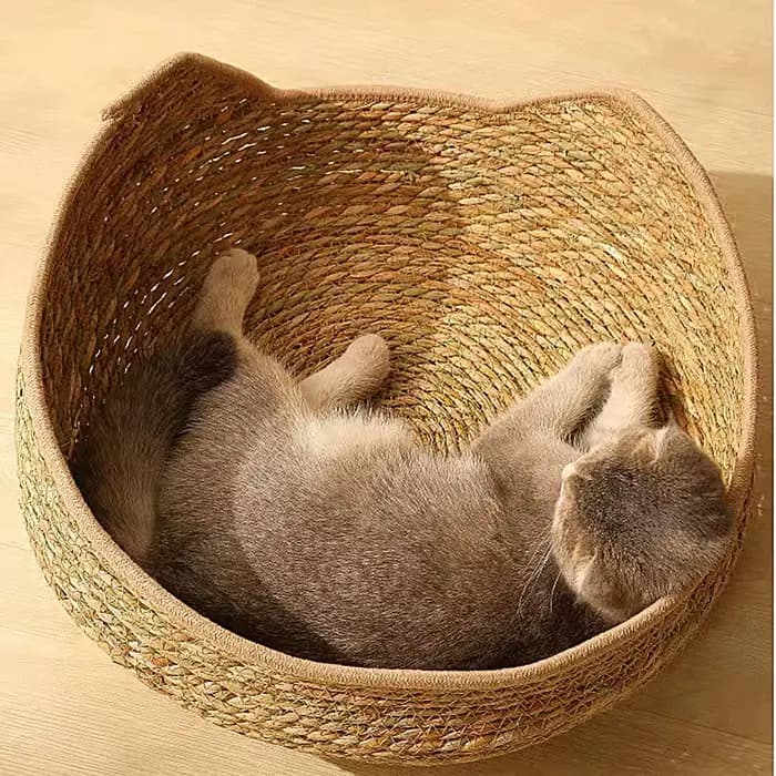 Panier rond pour chat en corde de coton tressée