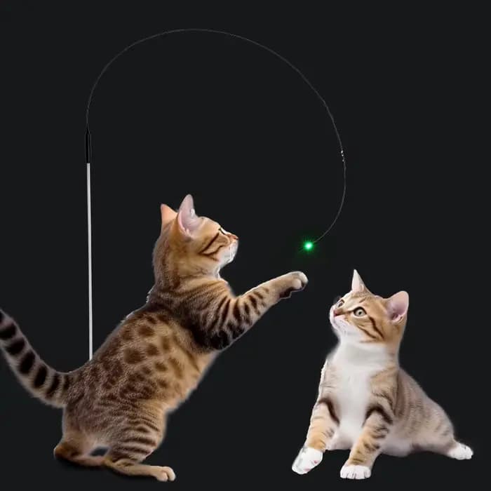 Baguette interactive LED pour chat