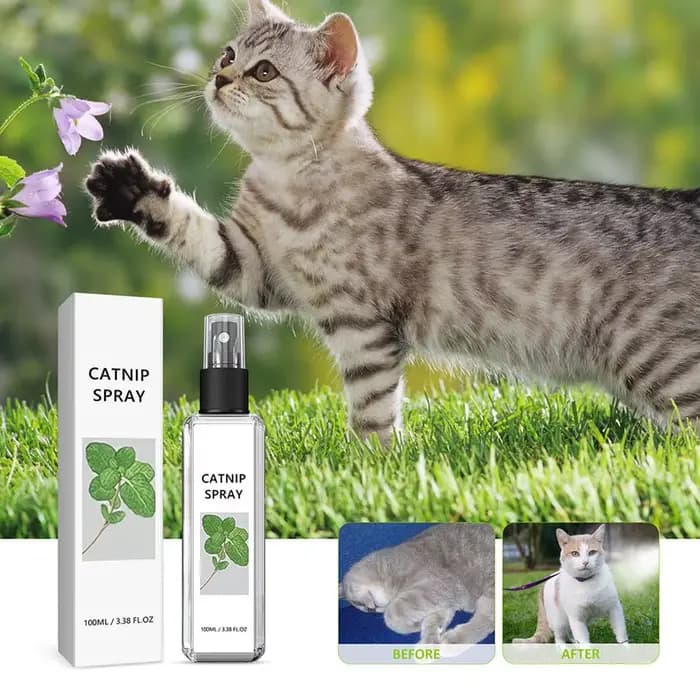 Vaporisateur de joie de chat à base de plantes pour animaux de compagnie