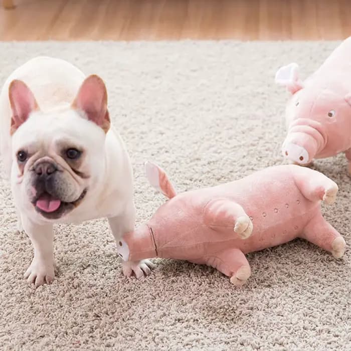 Jouet à mâcher en peluche pour animaux de compagnie