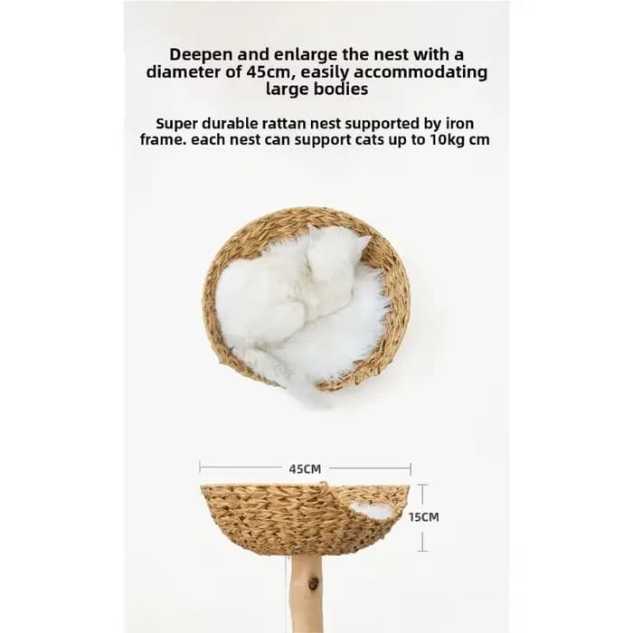 Arbre à chat en bois massif en forme d'arbre