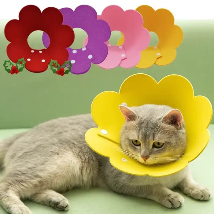 Colliers de récupération réglables en forme de fleur pour chat