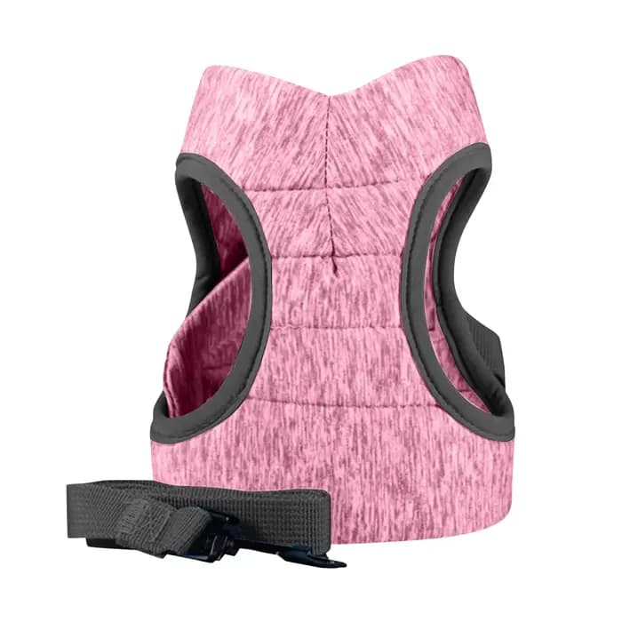 Ceinture Anti-fuite réglable pour petit chat