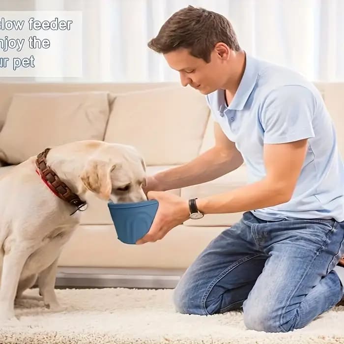 Bol à alimentation lente en silicone pour chien