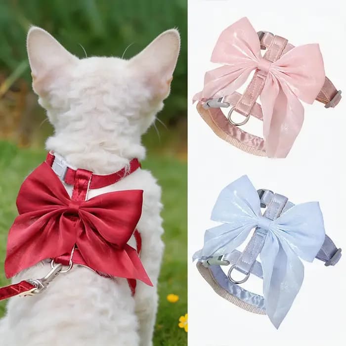 Ensemble Harnais et Laisse pour Chat avec Grand Nœud