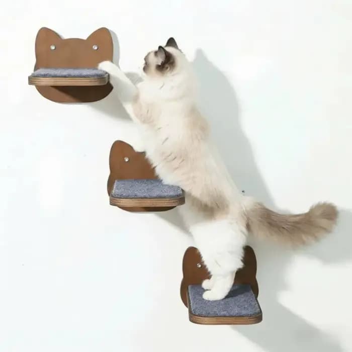 Étagères murales en bois pour chat