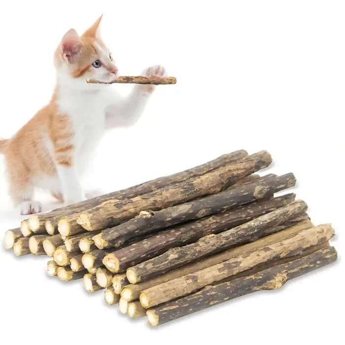 15 pièces naturel Matatabi chat herbe-aux-chats jouet chaton molaire bâton à mâcher nettoyage des dents