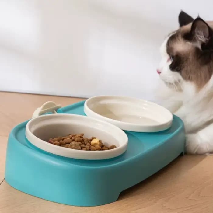 Bol d'alimentation incliné pour animaux de compagnie