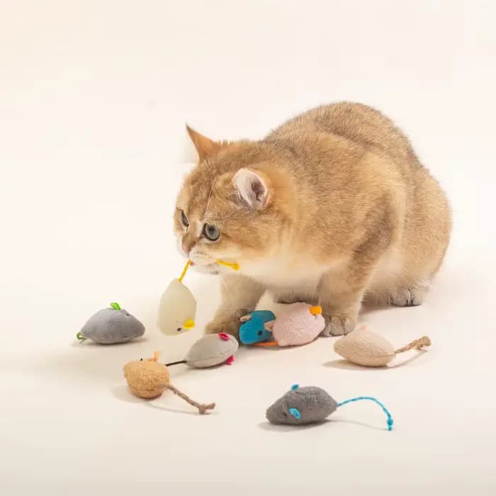 Jouet en peluche amusant pour chat