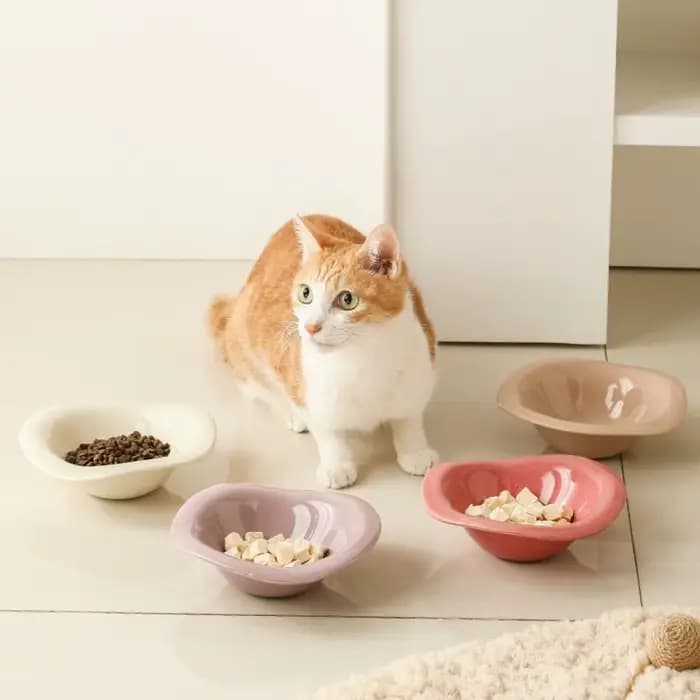 Bol en céramique pour chat