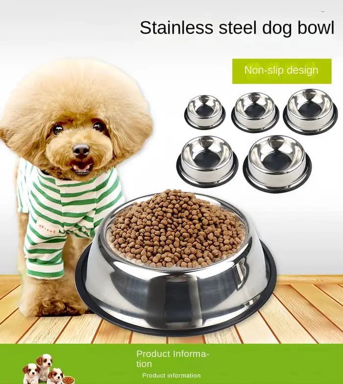 Bol en acier inoxydable pour chien et chat
