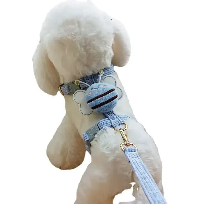 Harnais pour chat, harnais et ensemble pour animaux de compagnie