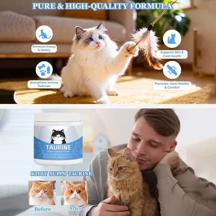 Compléments alimentaires pour chats en poudre hydrosoluble pour la santé cardiaque