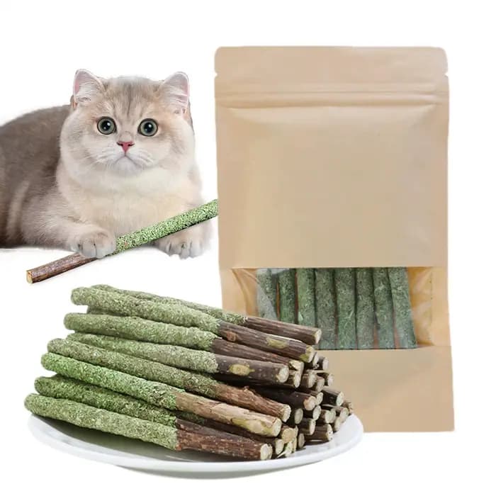 Bâtonnets d'herbe pour chat