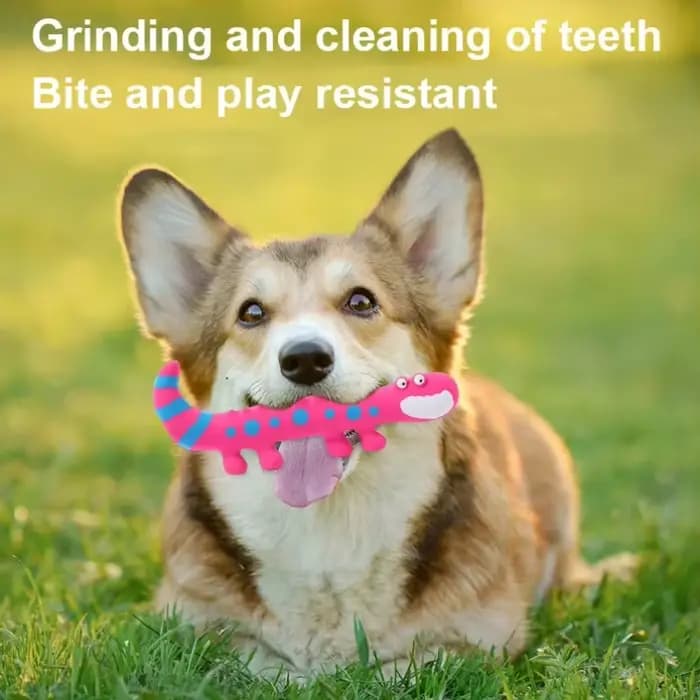 Jouet à mâcher pour chien en latex