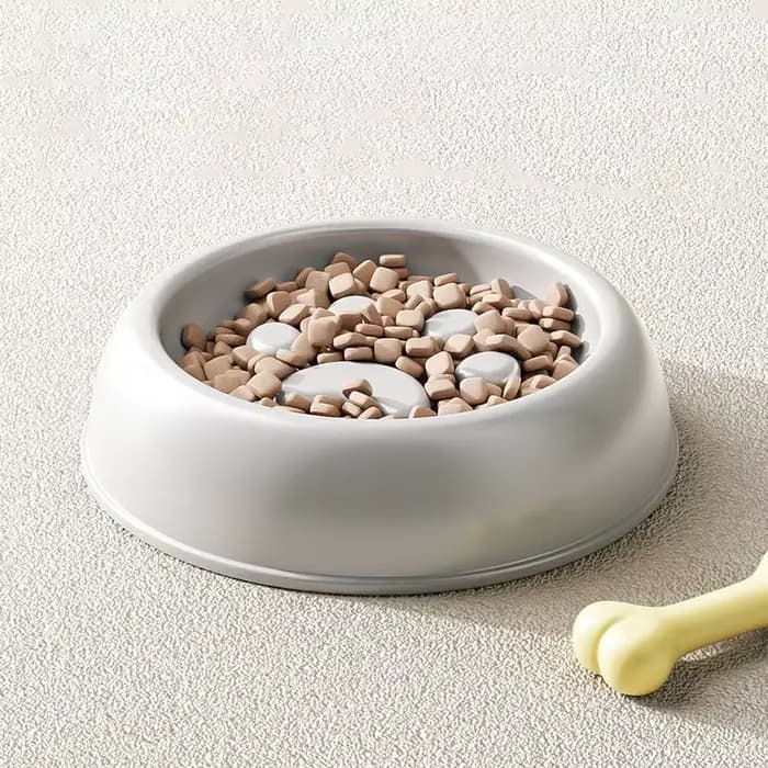 Bol d'alimentation lente pour chat