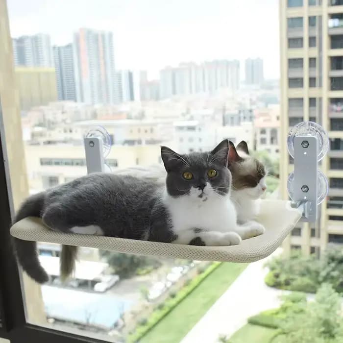 Hamac pour chat à ventouse puissante, pliable, pour fenêtre et balcon en verre, nid suspendu, perchoir pour bain de soleil, lavable, gain de place, lit d'intérieur pour animaux de compagnie