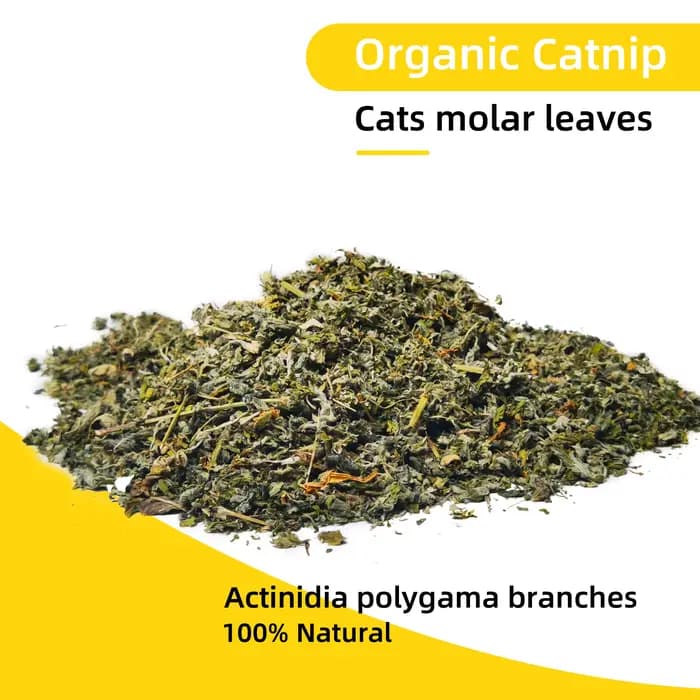 Oitabi 300 g/500 g d'herbe à chat naturelle pour chats et chatons