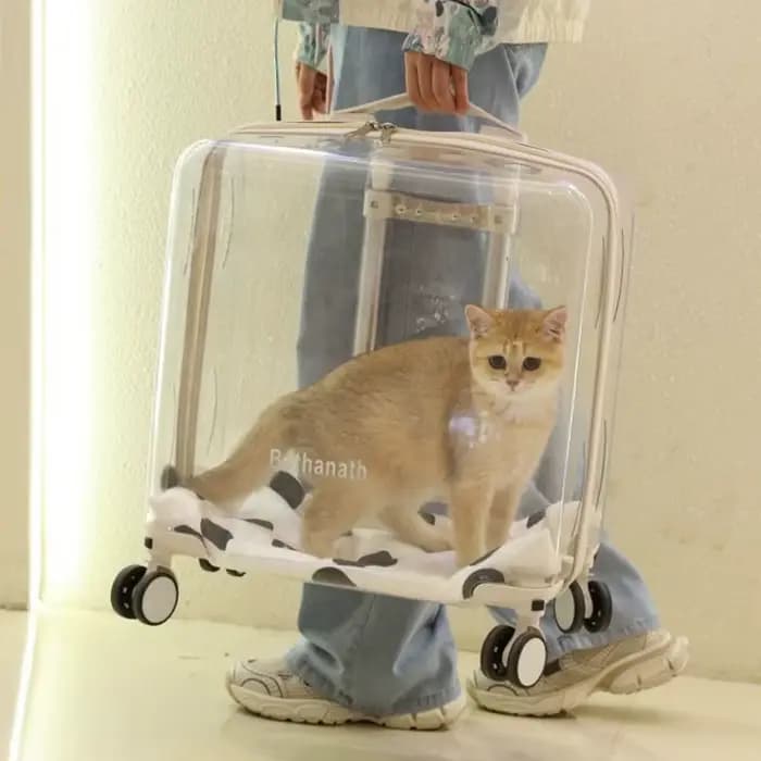 Sac à Dos Transparent pour Animaux de Compagnie