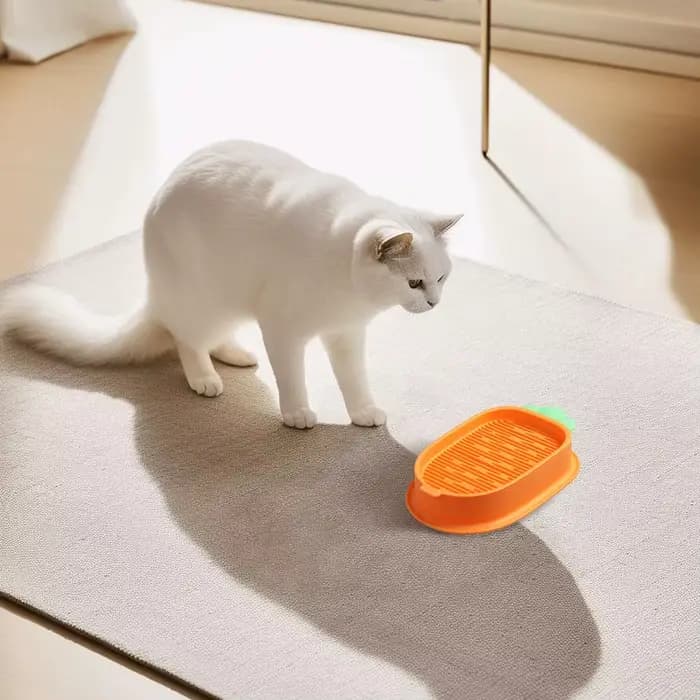 Boîte de herbe à chat hydroponique sans terre