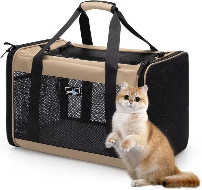 Porte-animaux extensible approuvé par la compagnie aérienne pour petits chats, sac de voyage pliable avec Oxford 600D, fermeture éclair de verrouillage de sécurité, S