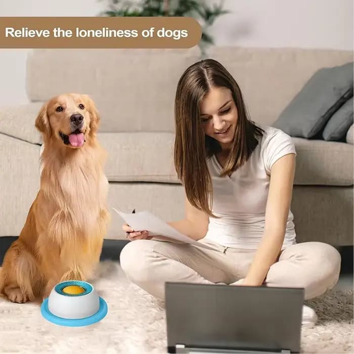 Bol à lécher pour chien/chat