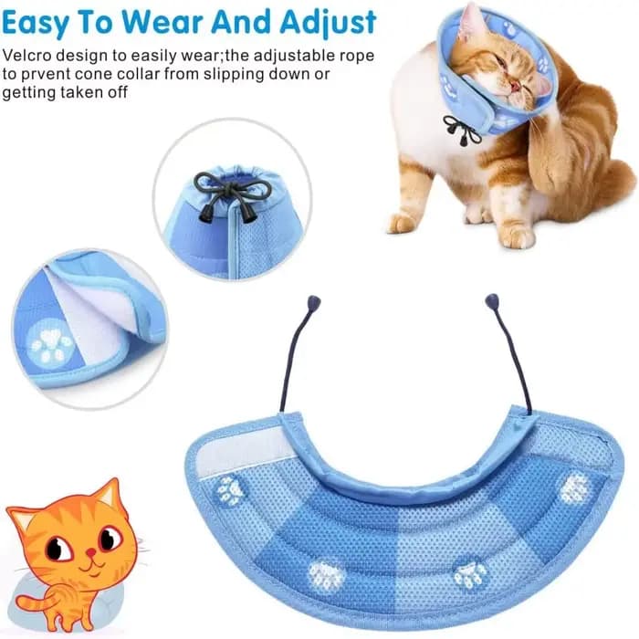 Collier de protection réglable anti-morsure pour chat
