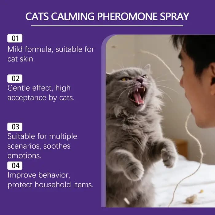Spray apaisant aux phéromones pour chats : Réduit l'anxiété et le stress