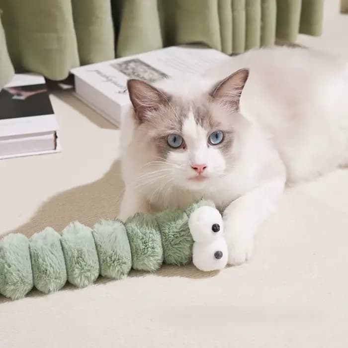 Jouet à mâcher en peluche pour chat