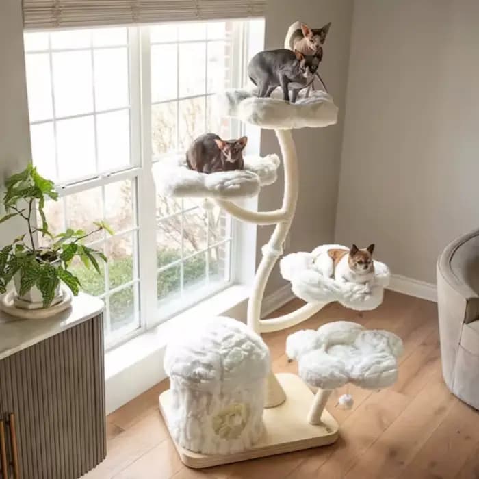 Arbre à chat moderne en bois avec motif floral