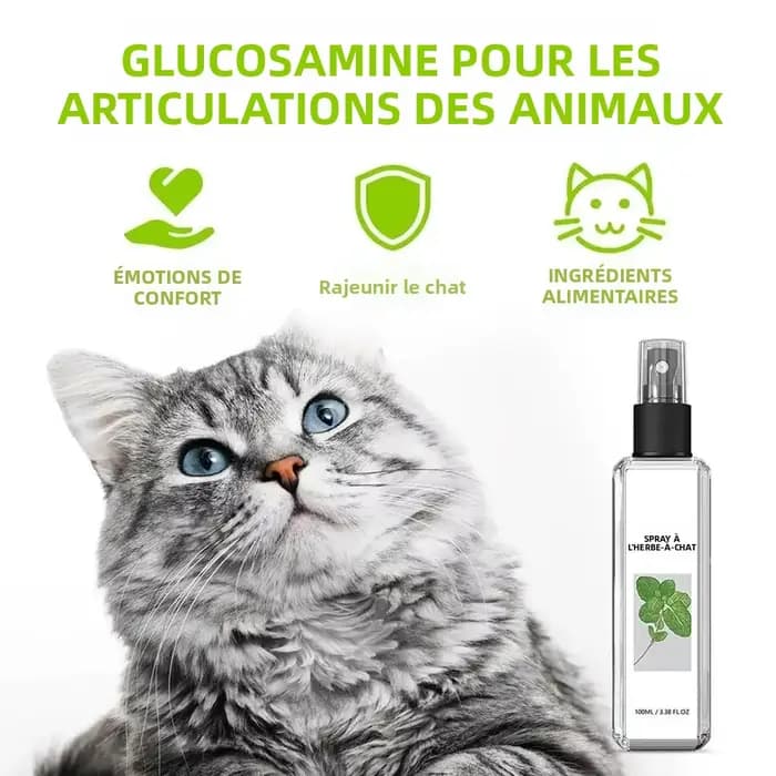 Spray Apaisant à la Menthe pour Chat – Soulagement de l'Anxiété