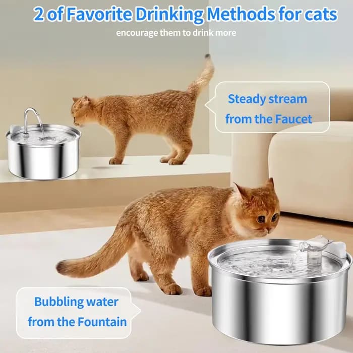 Fontaine d'eau automatique en acier inoxydable pour chat