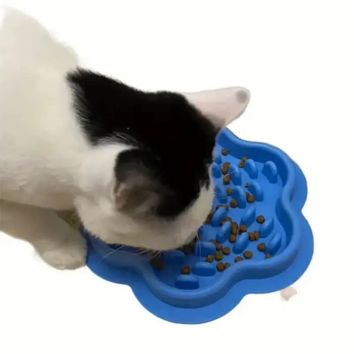 Plat d'alimentation pour animaux de compagnie