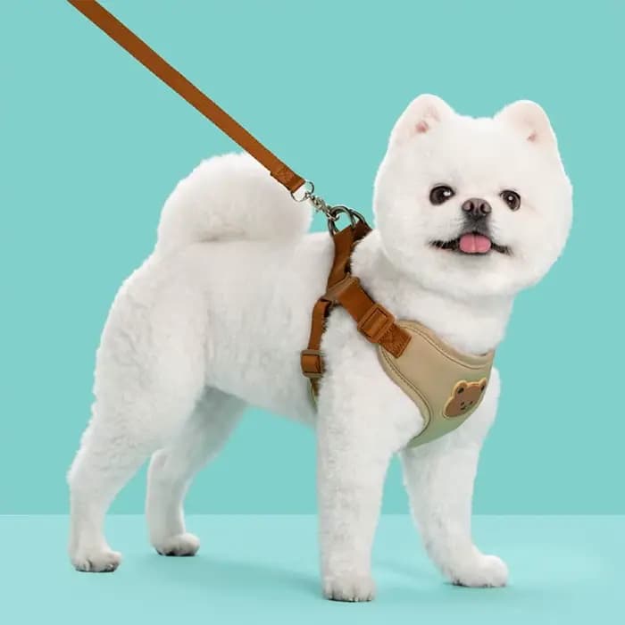 Harnais créatif et mignon pour animaux de compagnie