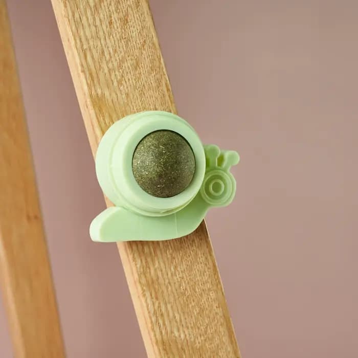 Jouet rotatif à la catnip pour chaton, pour le jeu et le nettoyage des dents