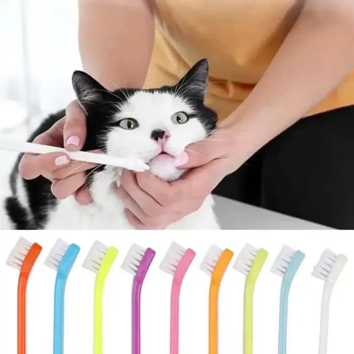 Brosse de nettoyage pour dents de chat et chien