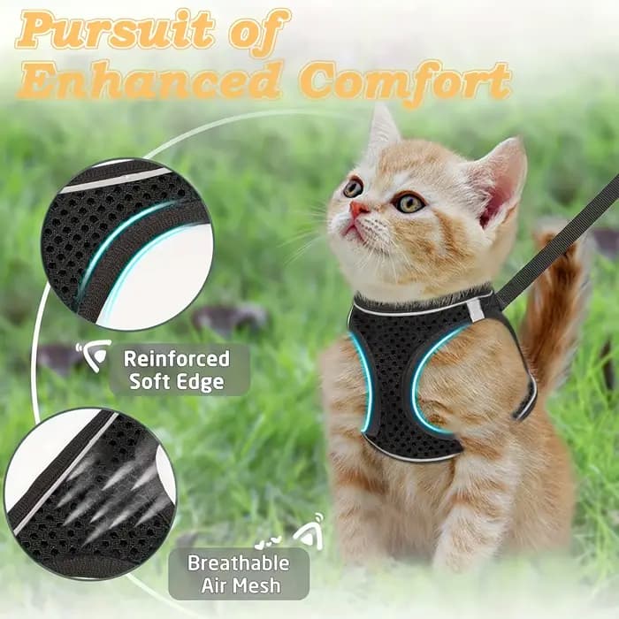 Ensemble de harnais anti-fuite pour chat : laisse de sécurité extérieure en maille souple réfléchissante