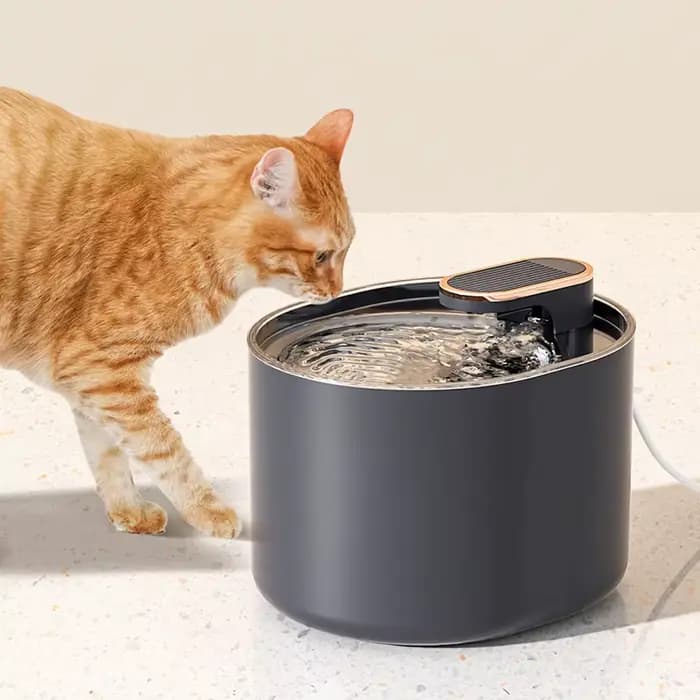 Fontaine d'eau pour chat 3L avec capteur de mouvement