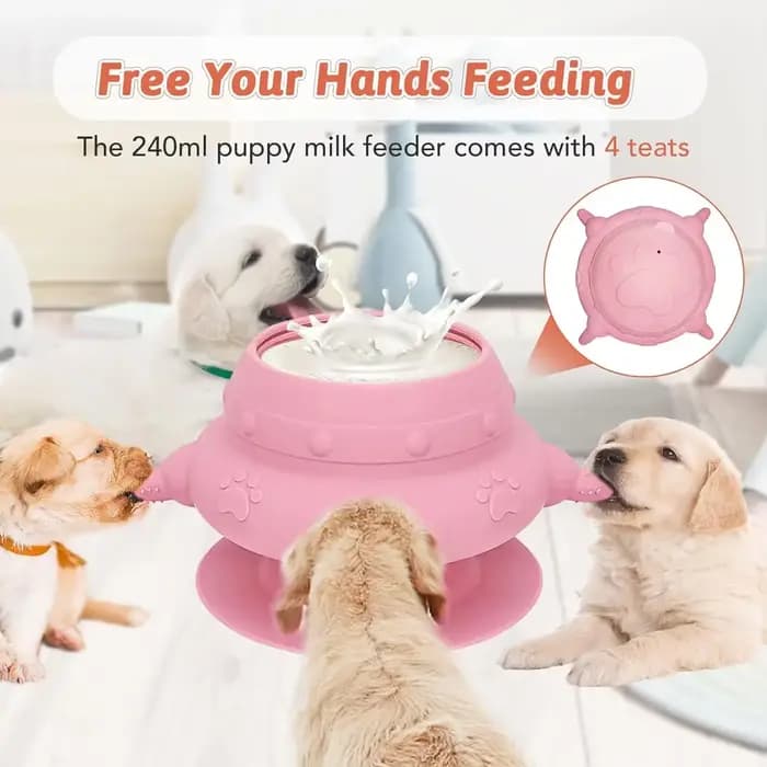 Mangeoire pour chiots et chatons nouveau-nés