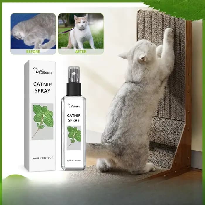 Spray naturel d'herbe à chat pour chats