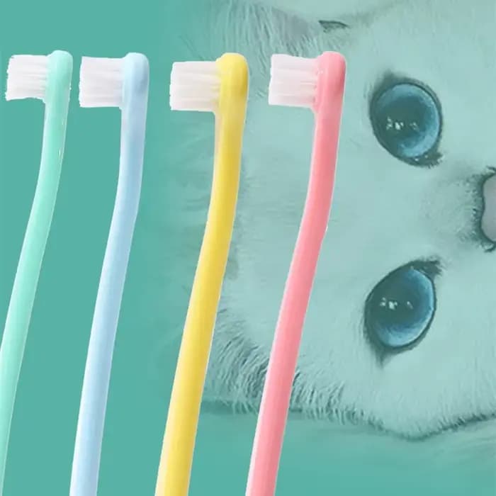 Brosse à dents pour chat