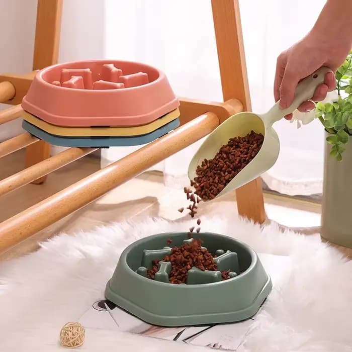 Bol de nourriture lente pour chien et chat