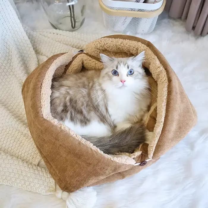 Lits en Polymères pour Chats et Chiots