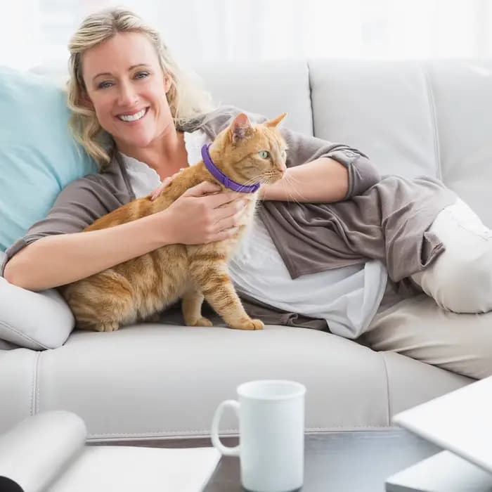 Collier apaisant pour chat