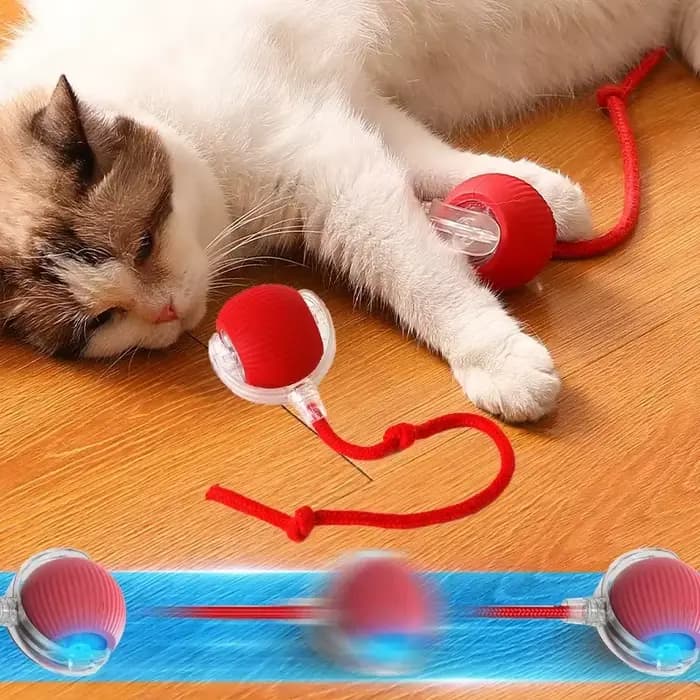 Boule de jouet pour chat