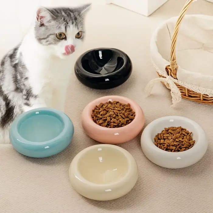Bol pour chat bol en céramique