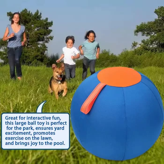Balle de hérisson pour animaux de compagnie