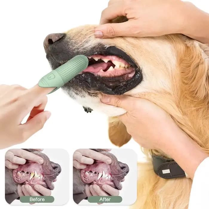 Brosse à dents en silicone de qualité alimentaire pour chiens et chats