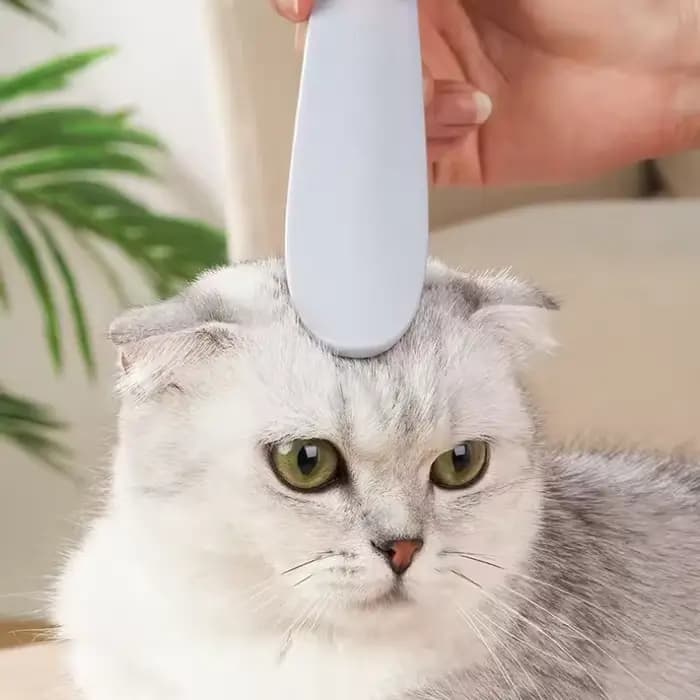 Brosse de toilettage pour chat pour le contrôle de la perte de poils, brosse de massage, peigne pour chat, brosse de retrait des poils, outil pour poils lâches, fournitures de toilettage pour animaux