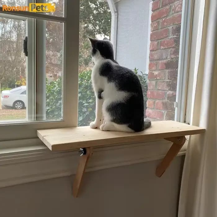 Tour d'arbre à chat en bois